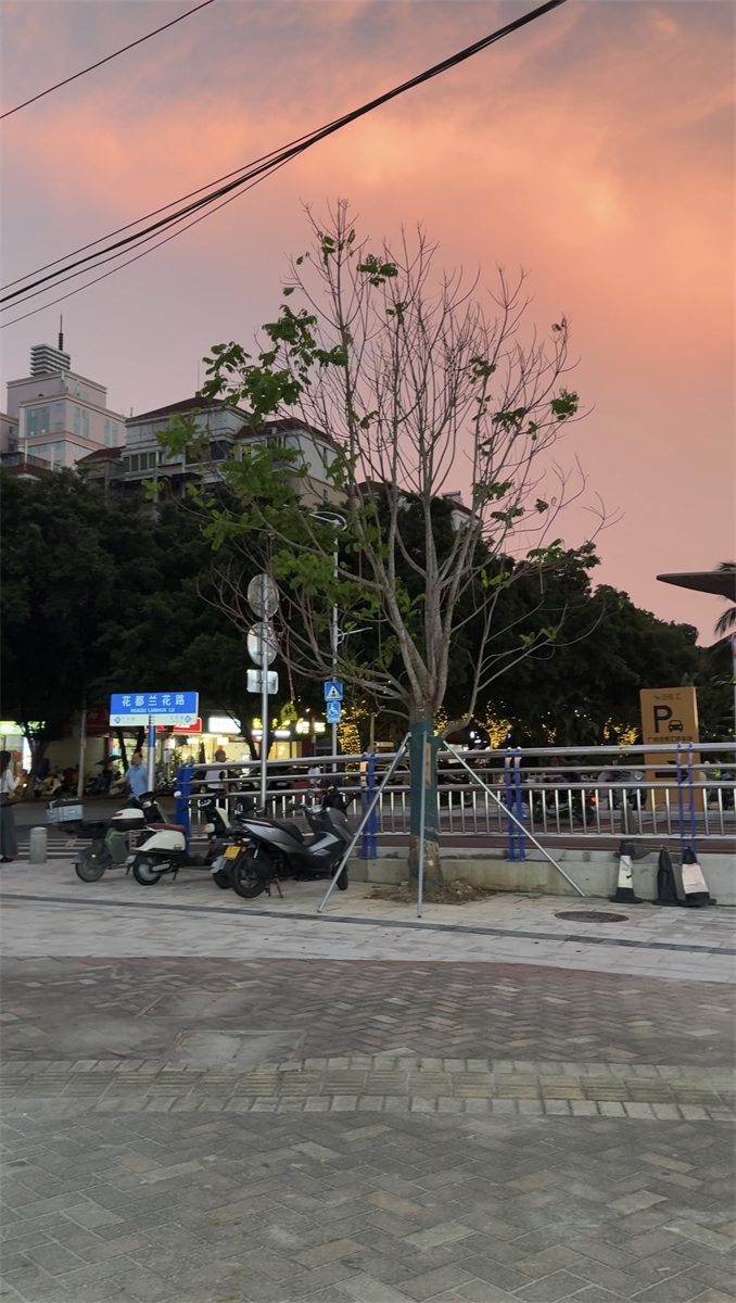广州花都科瑞儿门店周边花都兰花路路牌与停车标识实景